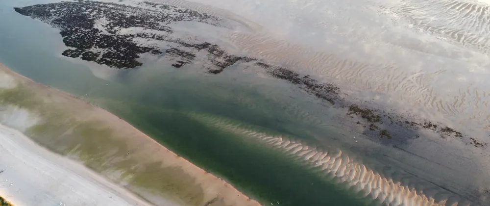 Drone view of Utersum at low tide with the dark oyster belt, the green channel and the sandbanks