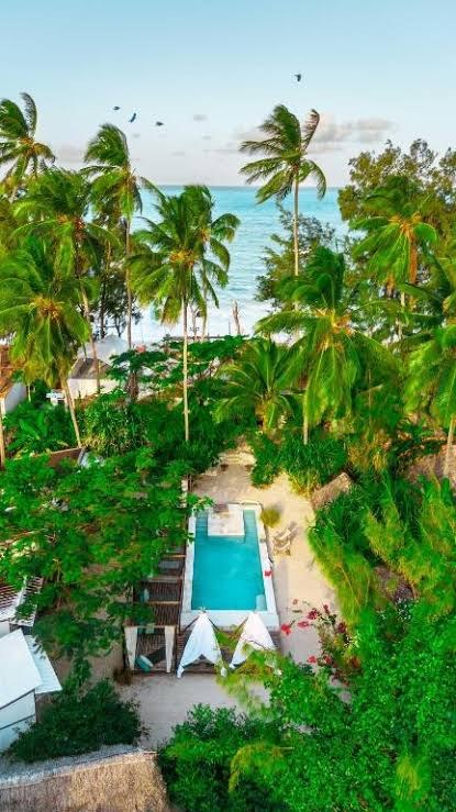 Vista aerea di una piscina tra le palme, con l’oceano Indiano sullo sfondo